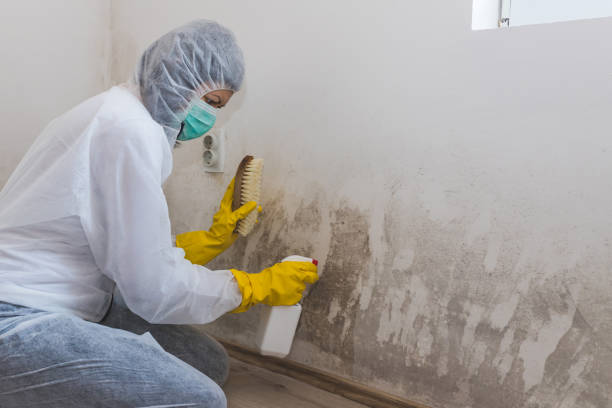 Water Damage Restoration in University Center, VA
