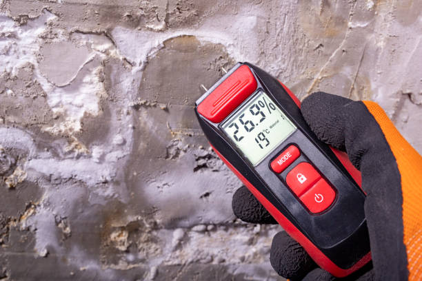 Best Mold Testing  in University Center, VA