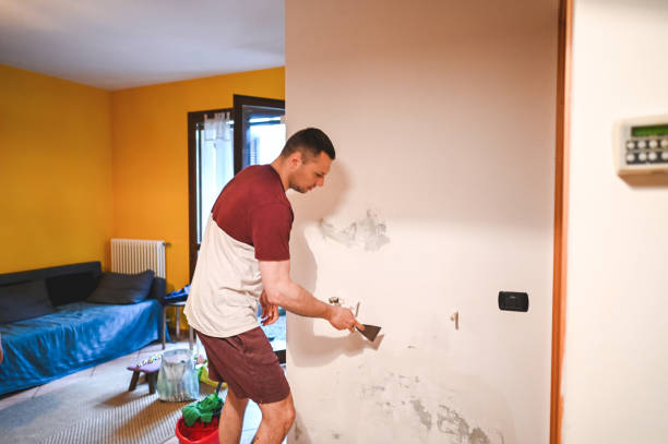 Best Attic Mold Removal  in University Center, VA