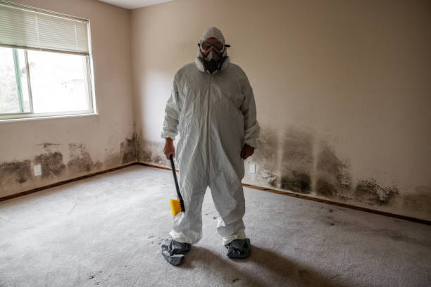 Trusted University Center, VA Mold Removal Experts